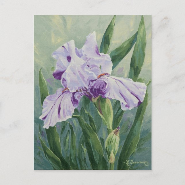 0440 Lila Streaked Iris Postcard Postkarte (Vorderseite)
