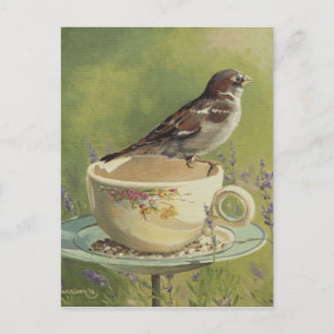 0470 Sparrow Postkarte