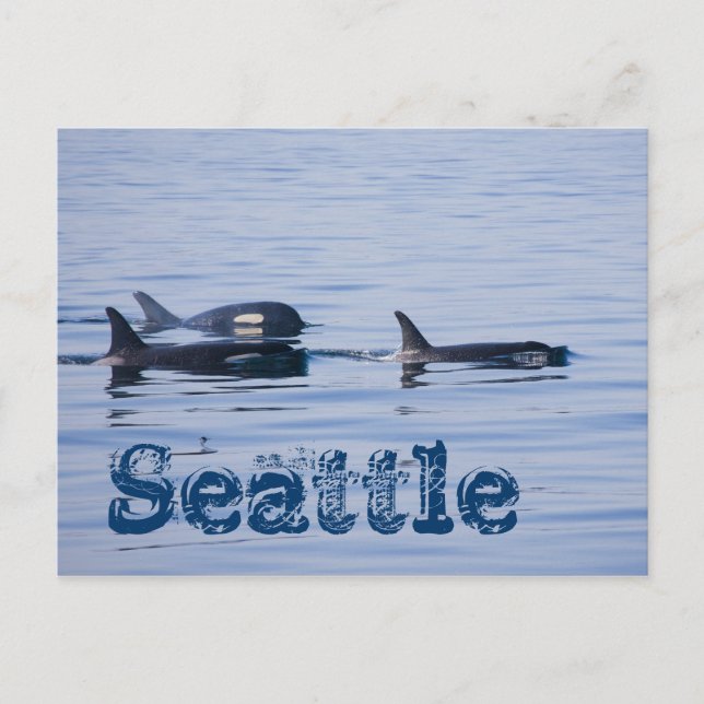 04, Seattle Postkarte (Vorderseite)