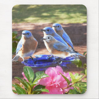050 Drossel-für immer 7.75x9.25 Mausunterlage Mousepad