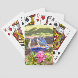 050 Drosseln für immer Spielkarten