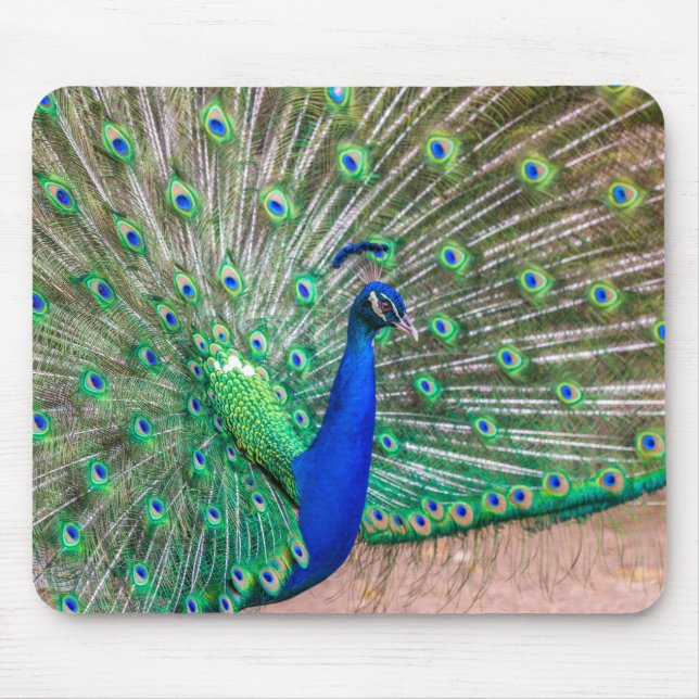 0601-Peacock Mousepad (Vorne)