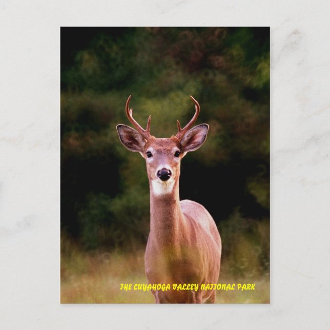 070306-34-APC POSTKARTE (Vorderseite)