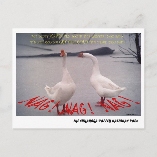 072506-10-APC NAG, NAG, NAG POSTKARTE (Vorderseite)