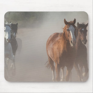 0800-Wild Mustangs Running Mousepad
