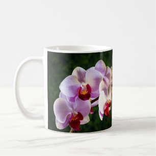 0834-Rosa Orchideen Kaffeetasse