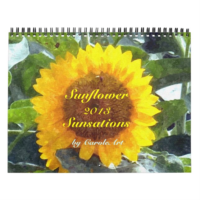 0 2013 Sonnenblumenempfindungen Kalender (Titelbild)