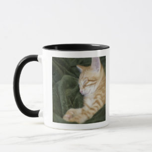 0 2 TASSE