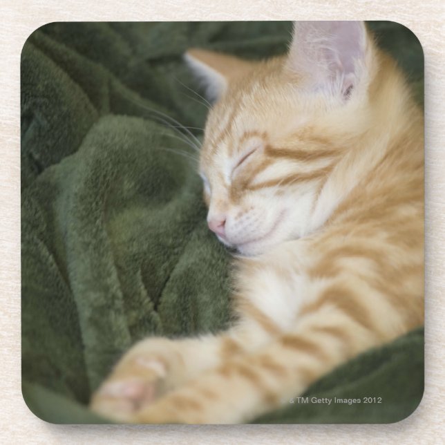 0 2 UNTERSETZER (Vorderseite)