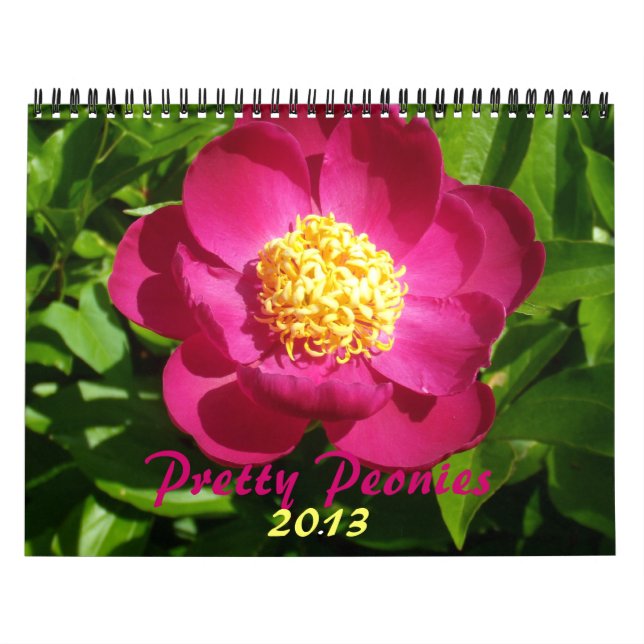 0 Hübsche Volkswirtschaften 2013 Kalender (Titelbild)