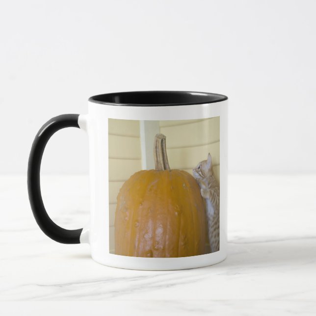 0 TASSE (Links)