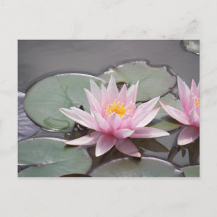 100085 POSTKARTE
