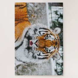 1000 Piece Cute Tiger Jigsaw Puzzle