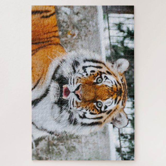 1000 Piece Cute Tiger Jigsaw Puzzle (Vertikal)