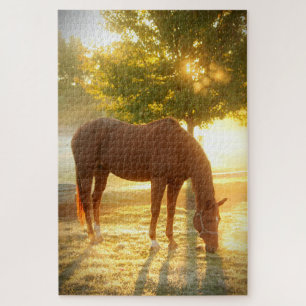 1000 Reitpferd