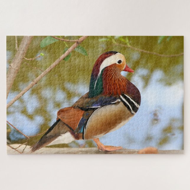 1000 Stück Mandarin duck Jigsaw Puzzle (Horizontal)
