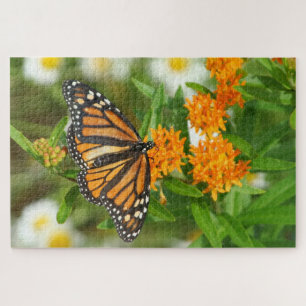 1000 Stück Monarch on Butterfly Weed Jigsaw Puzzle