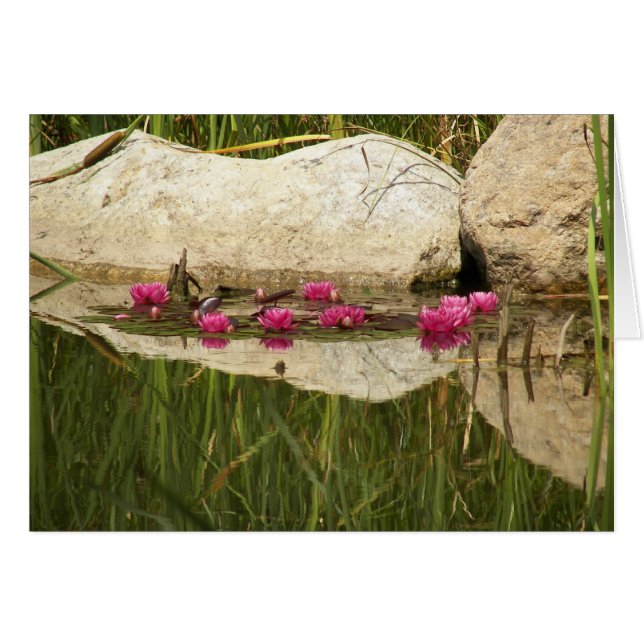 100_0088 (Devant horizontal)