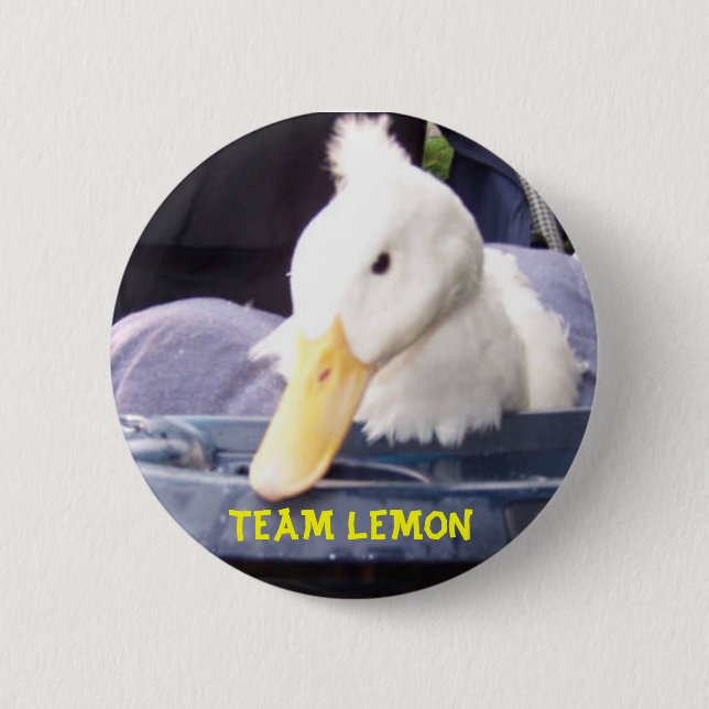 100_0517.jpg .w560h420, TEAM-ZITRONE Button (Vorderseite)