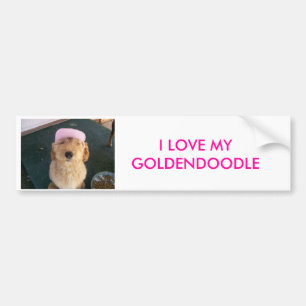 100_0605, I-LIEBE MEIN GOLDENDOODLE AUTOAUFKLEBER