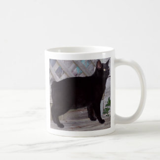 100_0621 KAFFEETASSE
