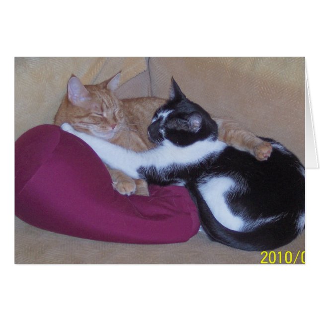 100_1102 (Vorderseite (Horizontal))