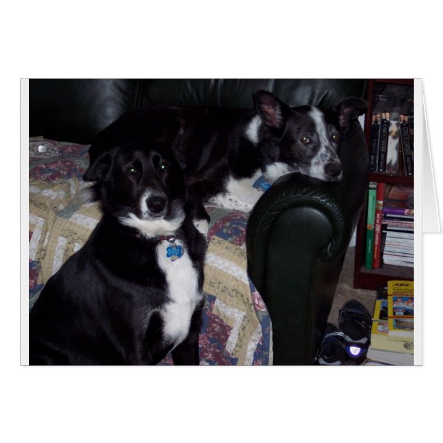 100_1642 (Devant horizontal)