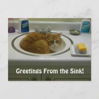 100_2687, Grüße aus dem Sink! Postkarte