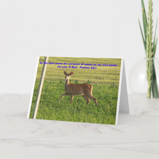 100_3149, Als die Hirschhose für Wasserläufe... Karte (Vorderseite)