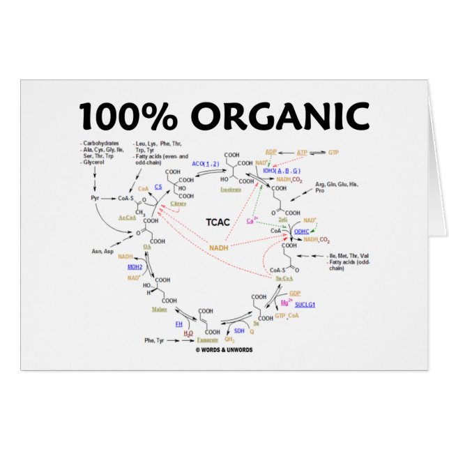 100% Bio (Zitronensäuren-Zyklus - Krebs Zyklus) (Vorderseite (Horizontal))