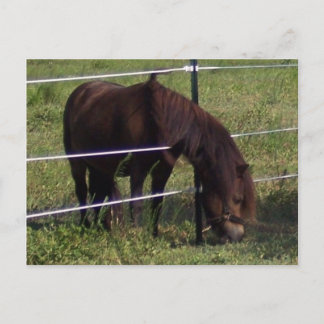 100 POSTKARTE