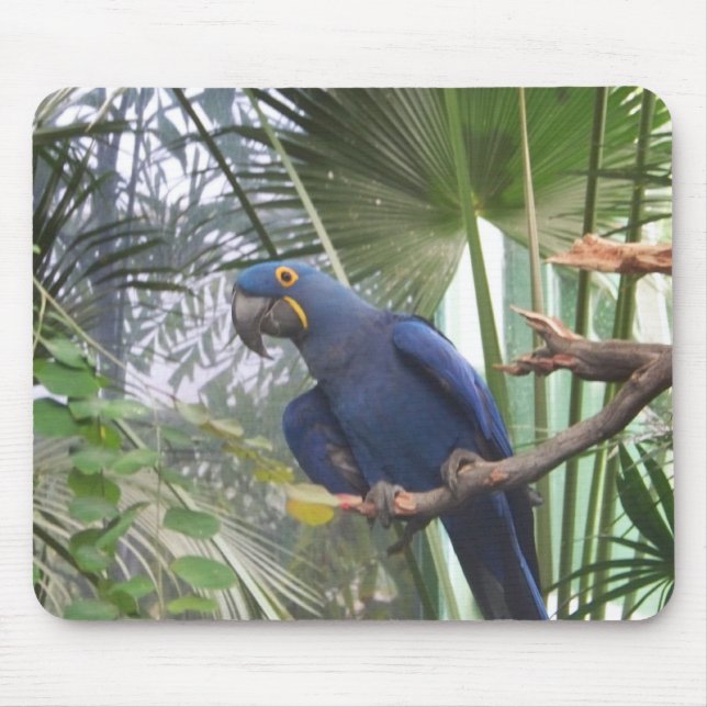 101_0361 MOUSEPAD (Vorne)