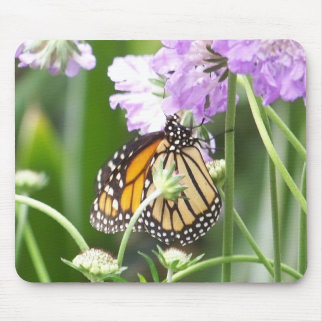 101_0392 MOUSEPAD (Vorne)