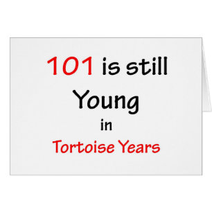 101 années de tortue