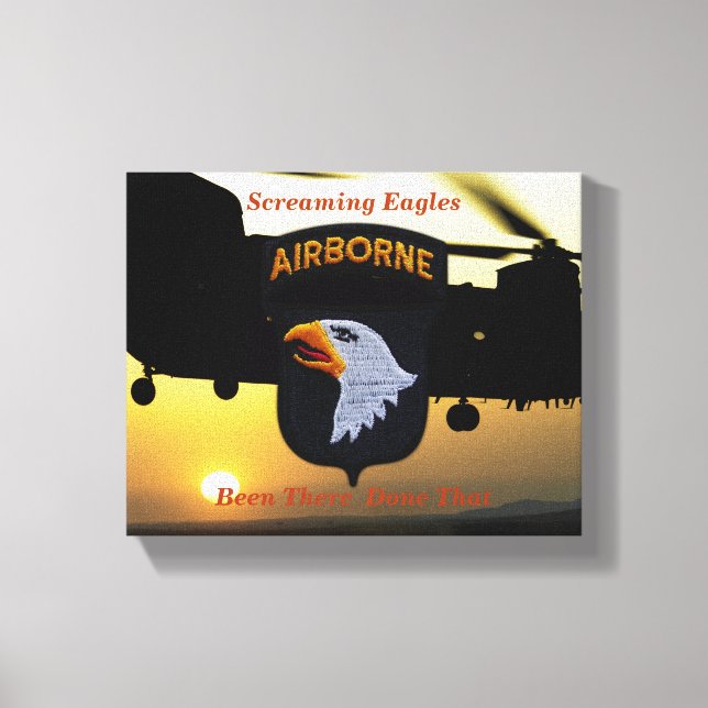 101. im Flugzeug schreiende Adlerveteranen Leinwanddruck (Vorderseite)