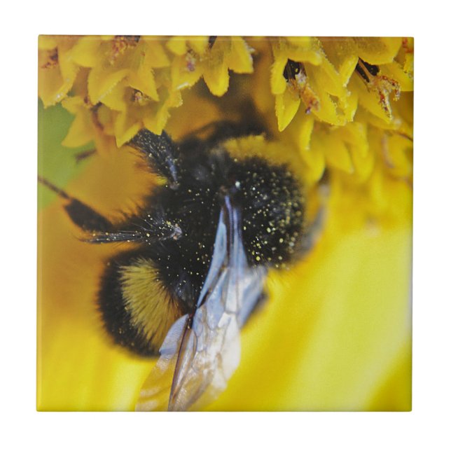 101.JPG FLIESE (Vorderseite)