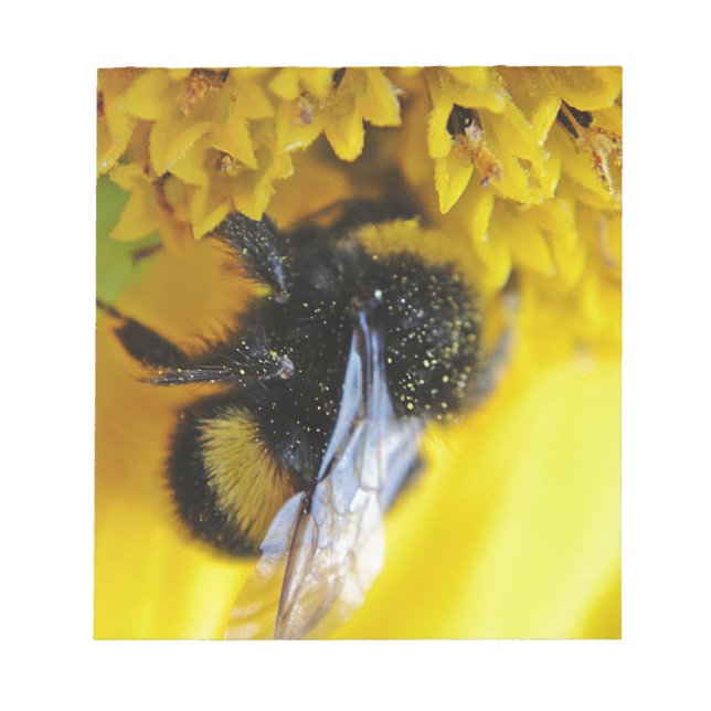 101.JPG NOTIZBLOCK (Vorderseite)