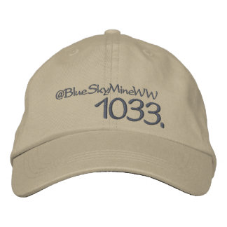 1033. Wie weit wirst du gehen? Bestickte Kappe