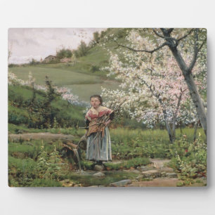 103-0066598/2 Frühjahr Fotoplatte