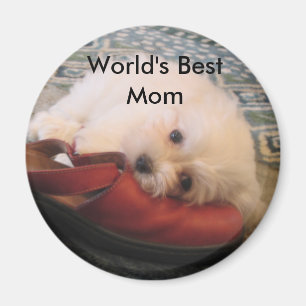 104_0471, die beste Mama der Welt Magnet
