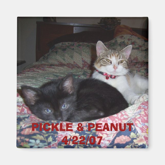 105_1036, PICKLE & PEANUT 4/22/07 MAGNET (Vorne)