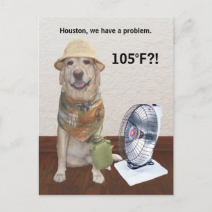 105 F?! POSTKARTE