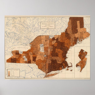 107 Influenza NY, NJ, New England Poster