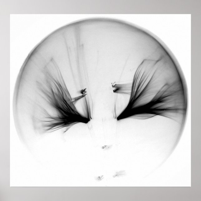 10^23 #1 POSTER (Vorne)