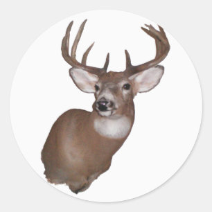 10 Point Buck Runder Aufkleber