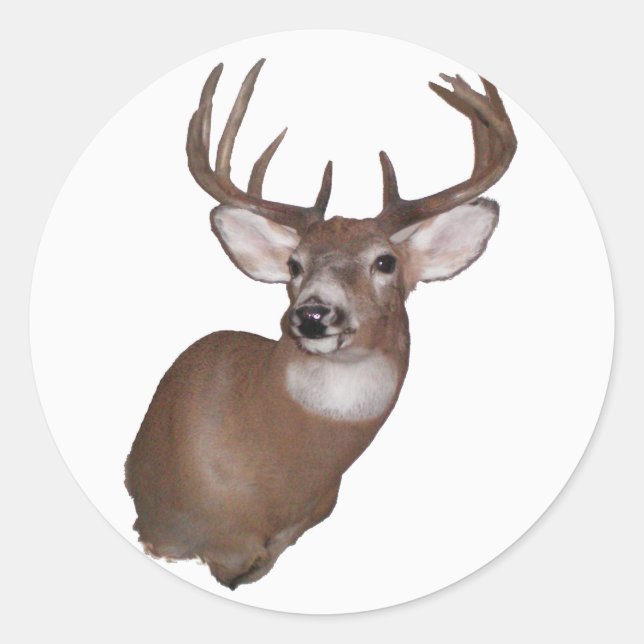 10 Point Buck Runder Aufkleber (Vorderseite)