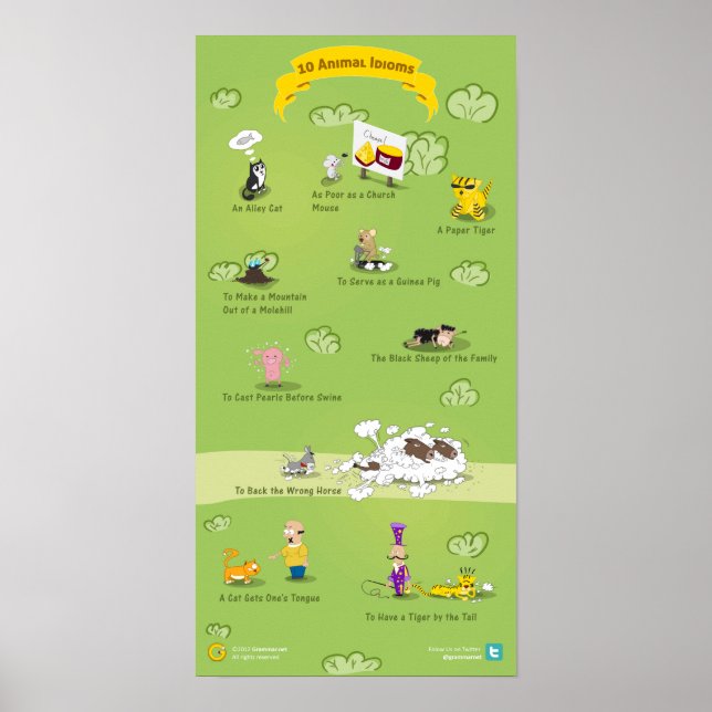 10 Tierische Einrichtungen und ihre Bedeutung Poster (Vorne)
