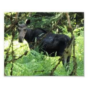 10" x8" Foto drucken Mittagessen