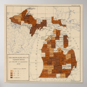 110 Typhus Michigan Poster