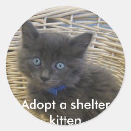 112907 Petfinder 028, Adoptier eines Junghüttenkit Runder Aufkleber